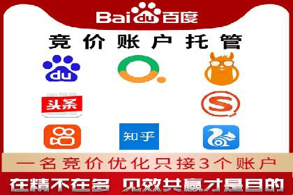 实战技巧：竞价推广案例解析与效果评估